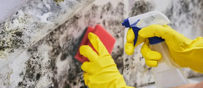 Cleaning mold