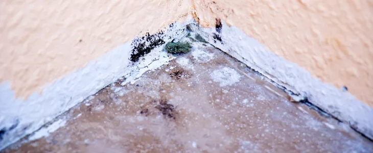 A corner of a building with black mold exposure