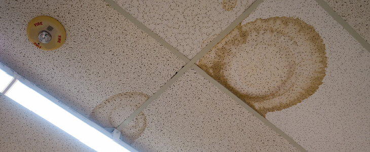 Black mold seeping down from the ceiling of an office building