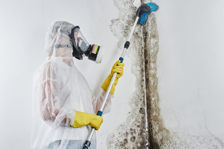 Professional cleaning mold in home