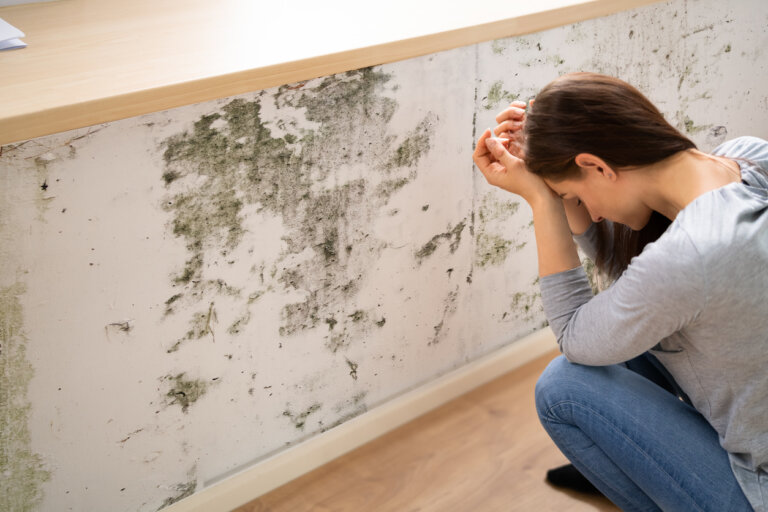 Shocked Woman Looking At Mold On Wall