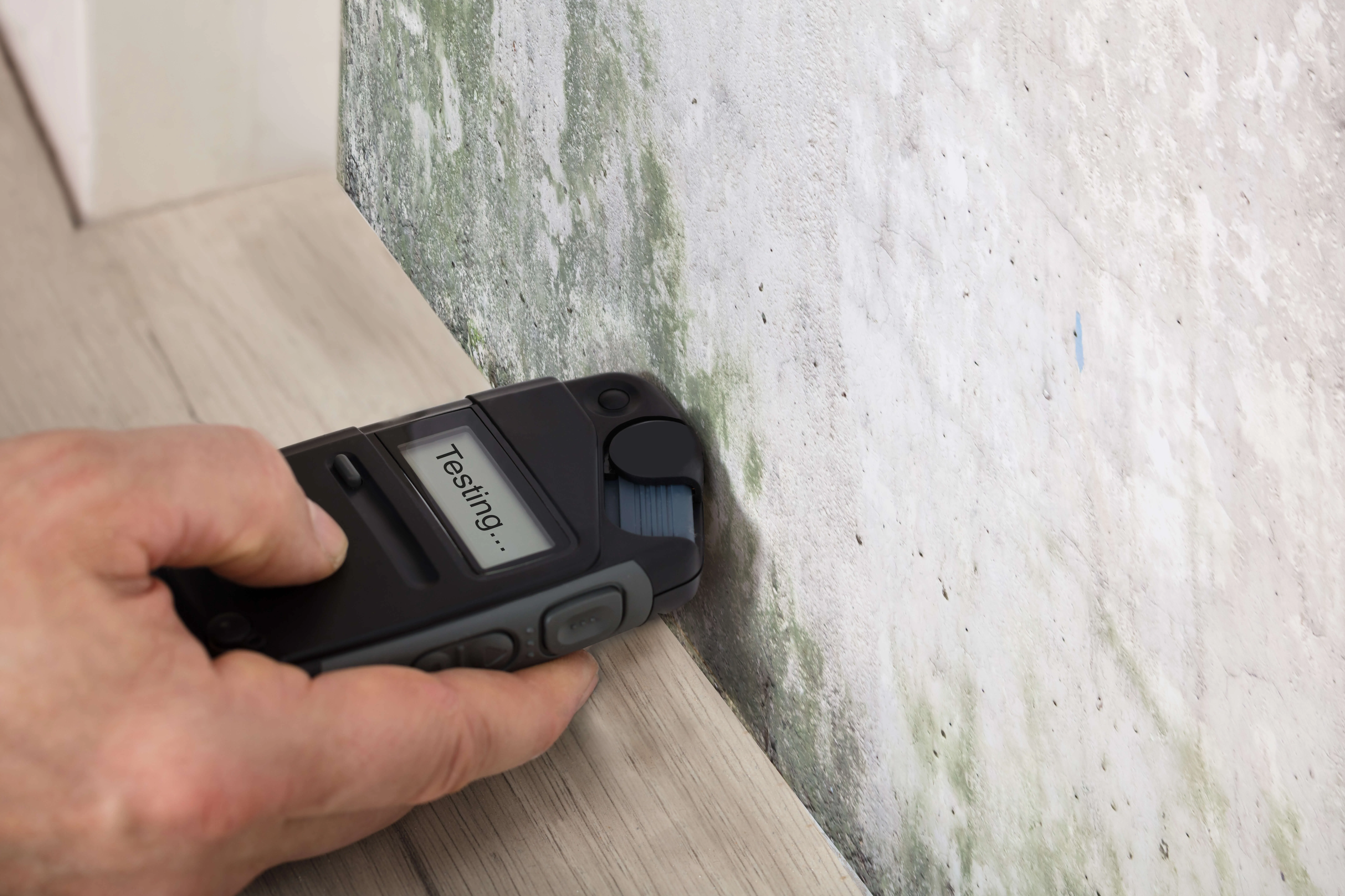 someone testing for toxic mold