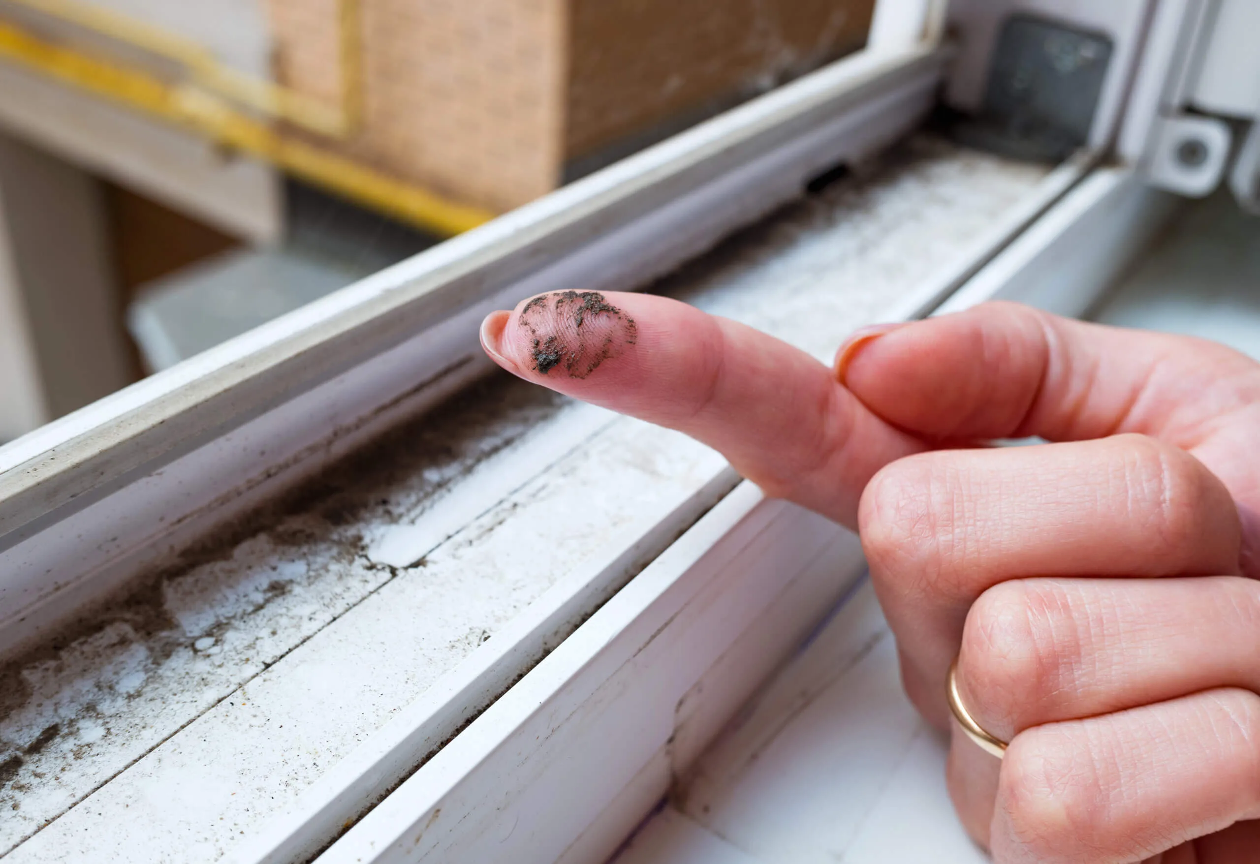 black mold